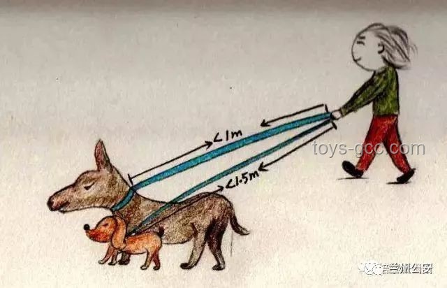 男子教唆犬只攻擊他人寵物狗：防范與應(yīng)對指南