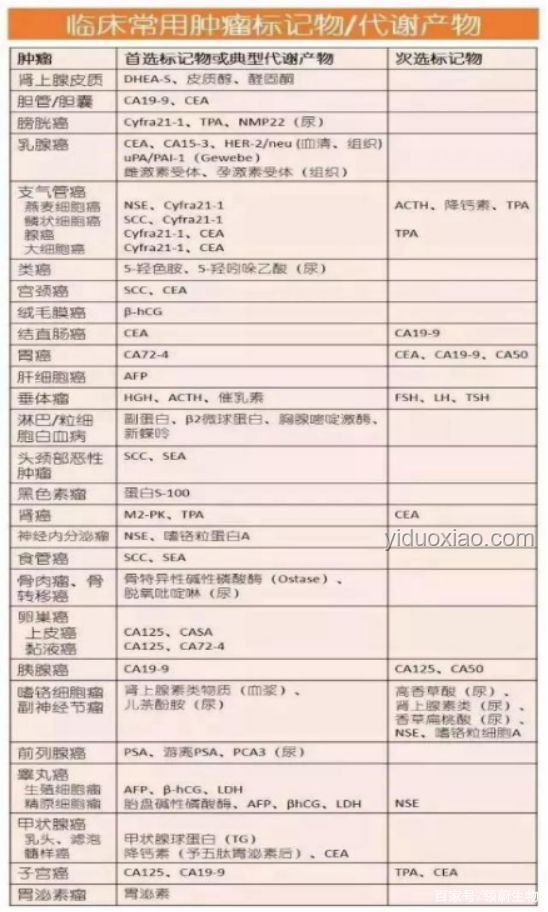 七根心簡評分深度解析，了解熱門作品魅力