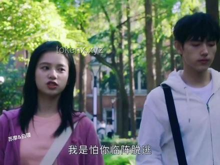 張婧儀章若楠相識(shí)歷程研究