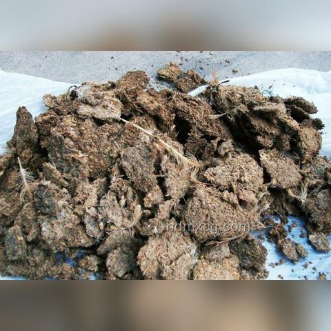 中國大媽投資黃金VS專家觀點(diǎn)：是否被套住的真相