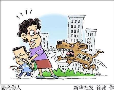 湖南惡犬咬傷事件應(yīng)對(duì)指南：保護(hù)小區(qū)居民安全