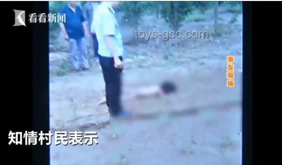 湖南惡犬流竄傷人事件深度分析