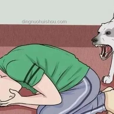 湖南惡犬傷人事件應(yīng)對(duì)指南：保護(hù)自身安全