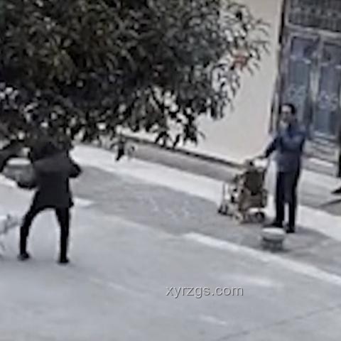 湖南惡犬事件與社區(qū)安全管理對(duì)比分析