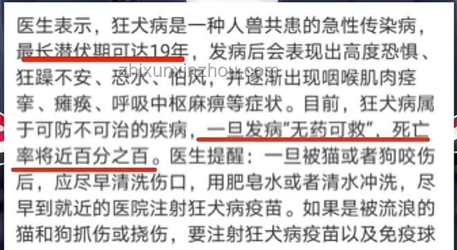 湖南惡犬事件與社區(qū)安全管理對(duì)比分析