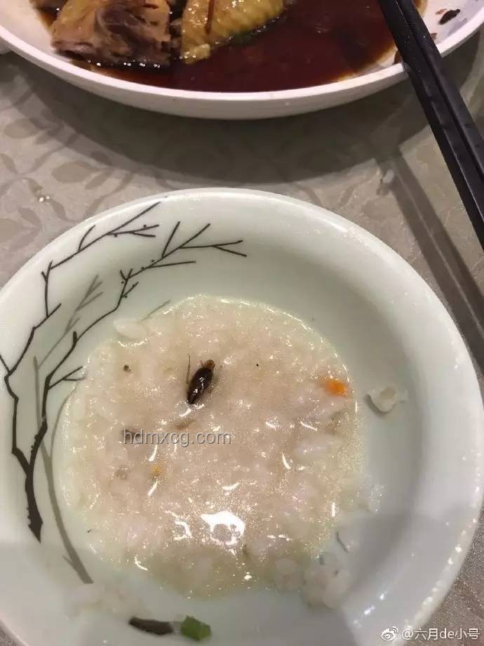 蟑螂與粥批：生活煩惱與網(wǎng)絡(luò)社群的雙面鏡