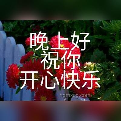 3分05秒祝福視頻與傳統(tǒng)祝福方式的對(duì)比分析