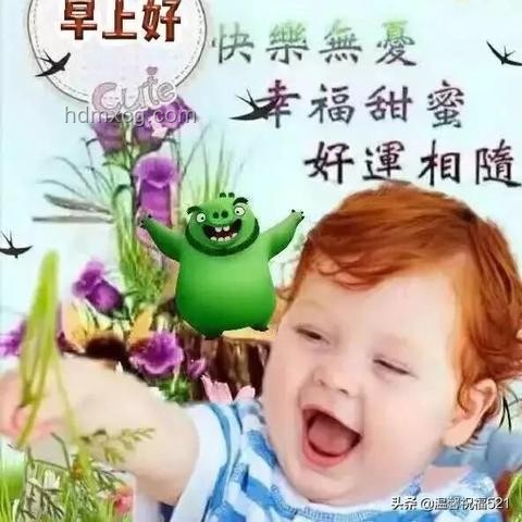 3分05秒祝福視頻與傳統(tǒng)祝福方式的對(duì)比分析