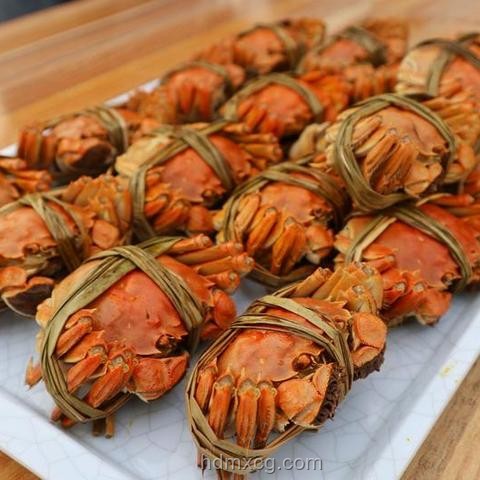 動畫產(chǎn)業(yè)新藍海：三角洲動畫崛起與兄弟出貨喜悅背后的趨勢