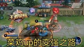 “雞”王爭霸賽實戰(zhàn)指南：打造養(yǎng)雞冠軍之路