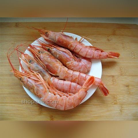 龍蝦咬扇子：奇趣現(xiàn)象背后的生態(tài)與行為學(xué)探索