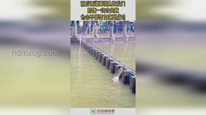 魚躍龍門背后的健康產(chǎn)業(yè)機(jī)遇，雨后西湖映射行業(yè)新趨勢