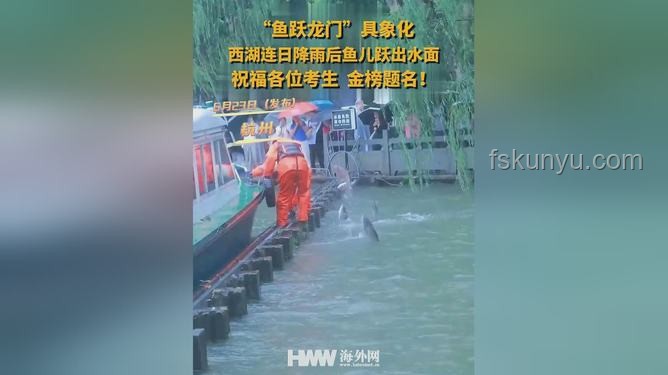 魚躍龍門新解：跨界思維下的成功伏筆，雨后西湖啟示錄
