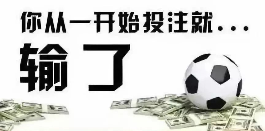 “為愛賭一次”與“穩(wěn)健前行”的人生選擇對比分析