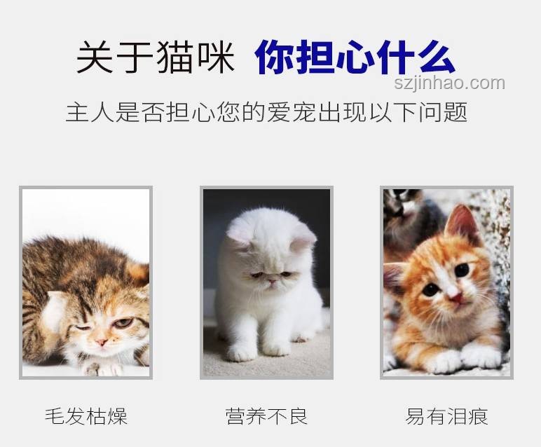 大貓小貓成長(zhǎng)共性及水源安全對(duì)比
