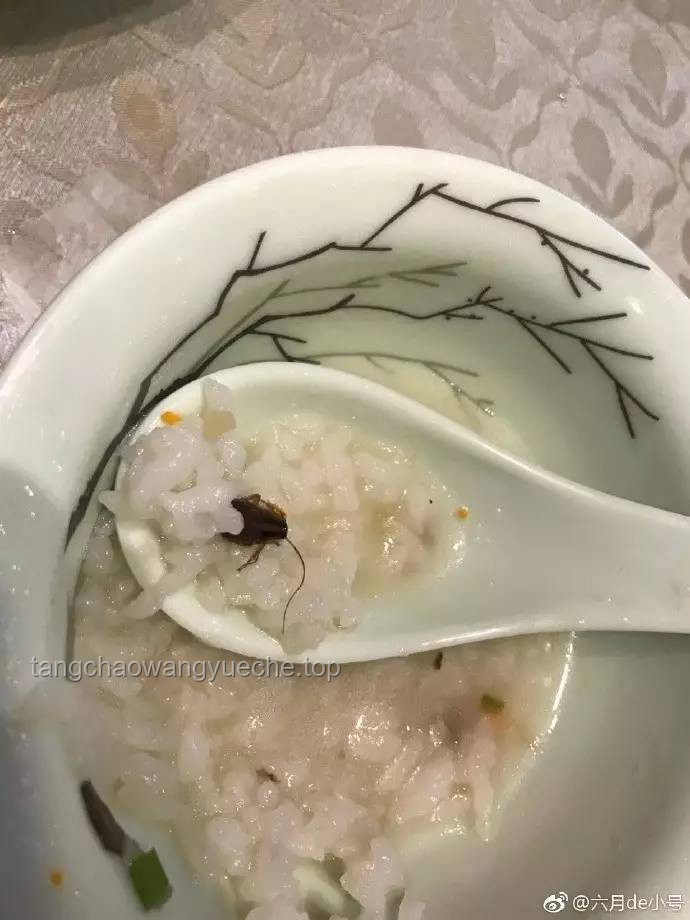 出租屋蟑螂大戰(zhàn)與粥批稀缺記??????