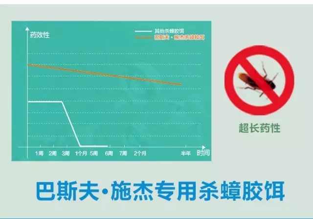 蟑螂治理與社群文化：從生活困擾透視行業(yè)機(jī)遇