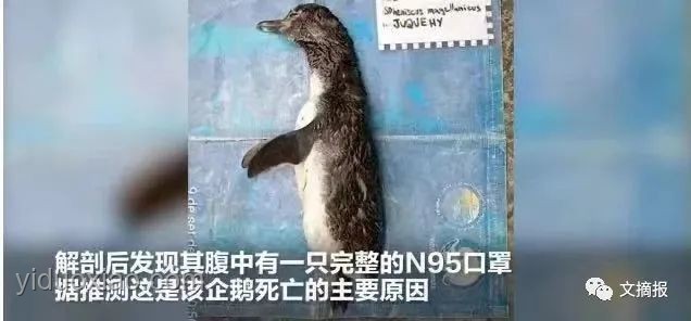 出租屋蟑螂問(wèn)題與社交圈層現(xiàn)象研究