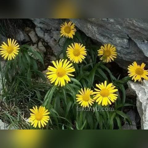如何應(yīng)對《曼德拉效應(yīng)》帶來的認(rèn)知困惑，提升信息辨識力