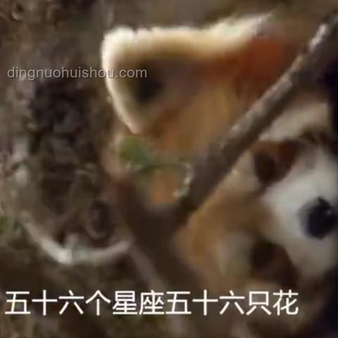 如何應(yīng)對(duì)《曼德拉效應(yīng)》帶來的認(rèn)知困惑，增強(qiáng)記憶準(zhǔn)確性