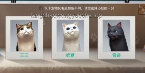 貓鼠游戲：家庭寵物共處策略研究