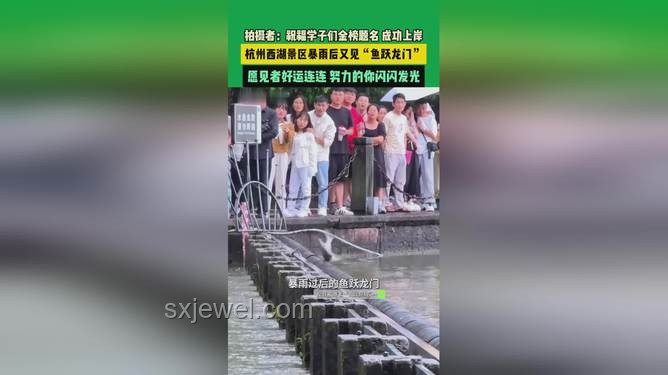 雨后西湖魚躍龍門，預(yù)示成功新趨勢？