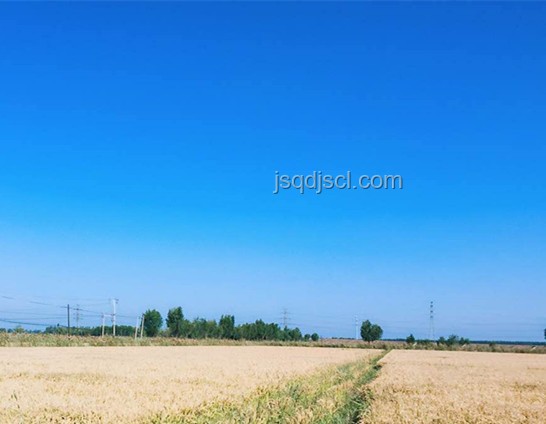 “風(fēng)浪中的成長(zhǎng)：稻田與船長(zhǎng)培養(yǎng)的啟示”