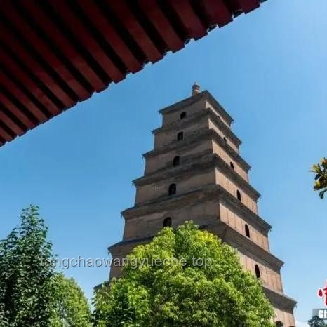 互聯(lián)互通正重塑中國(guó)—中亞合作新格局