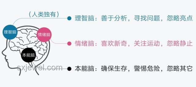 “我炸了 我走了”情緒管理指南：冷靜應(yīng)對，理智離開