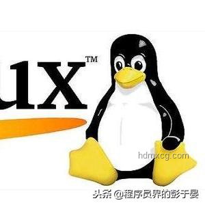 程序員住車里：公共資源占用爭議深度剖析