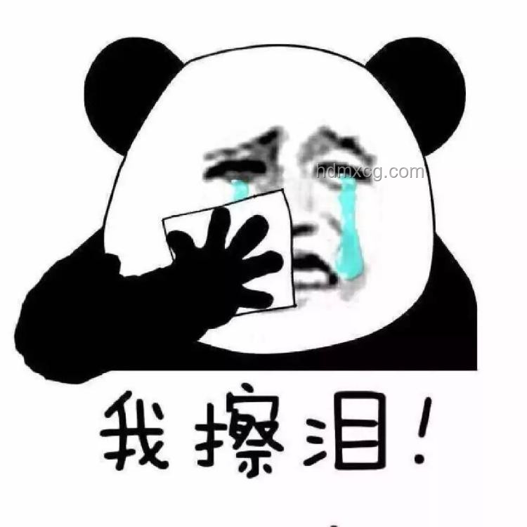 沒人能面無表情看完五哈撒嬌：掌握逗趣技巧指南
