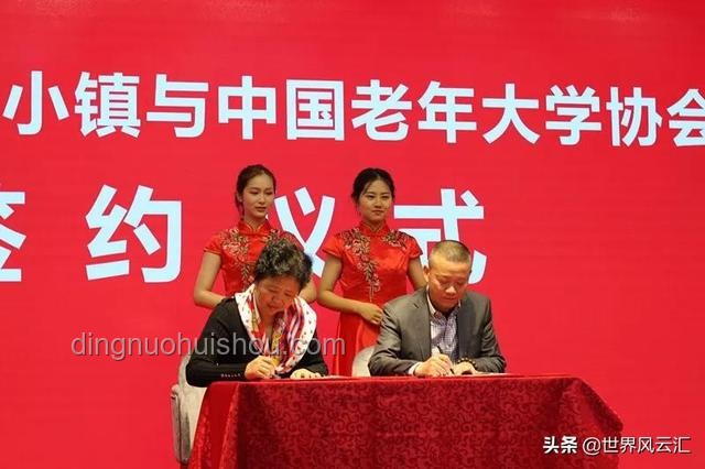 食堂阿姨致辭觸動人心的案例研究：真誠與共鳴的力量