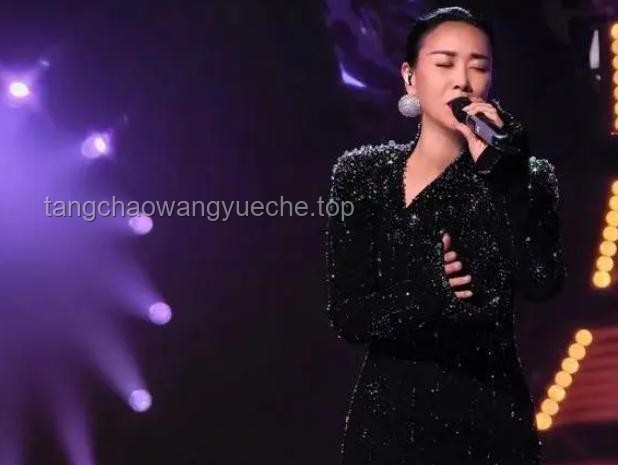 《歌手2025》：音樂盛宴背后的審美霸凌反思