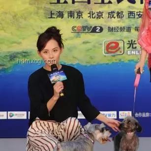 起初我只是想遛狗輕松一點，卻解鎖了高效遛狗秘籍