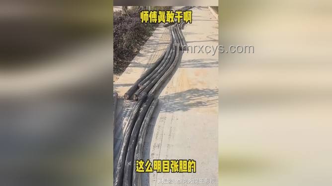 多少次偷電纜不可??！合法賺錢滿足口腹之欲指南