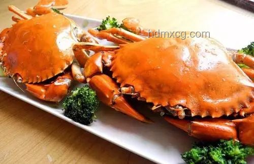 蟹蝦對(duì)決：半年養(yǎng)成青蟹王VS雀尾螳螂蝦的創(chuàng)新啟示