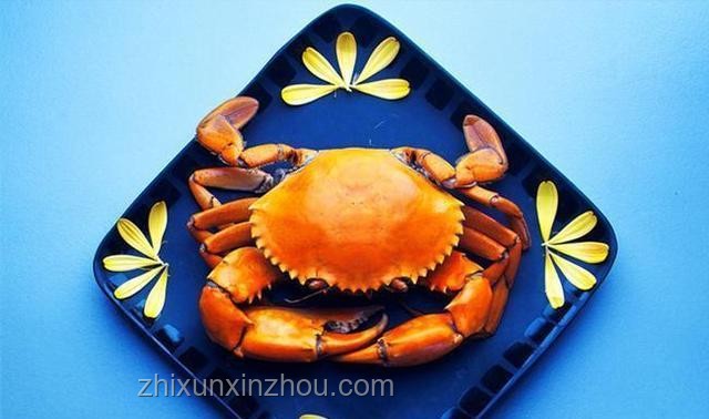 半年養(yǎng)成無(wú)敵青蟹王，挑戰(zhàn)雀尾螳螂蝦勝負(fù)幾何？