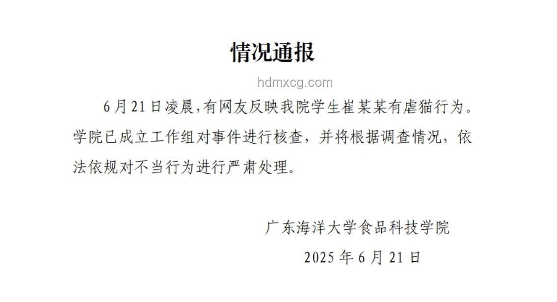 大學(xué)生虐貓事件處理與行業(yè)反思