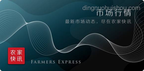 WOL憾負(fù)后的競技趨勢：深度剖析與未來展望