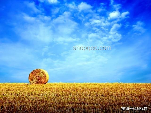 麥穗智慧農(nóng)業(yè)：從媽媽的手到智能帽沿的變革趨勢(shì)