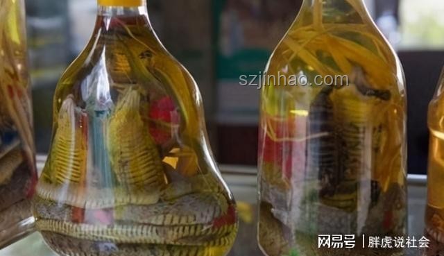 家里藏著的寶貝老酒，你發(fā)現(xiàn)了嗎？??,古董酒,價值連城,收藏秘訣,情懷滿滿