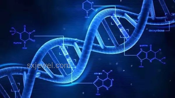 74歲奇跡懷孕挑戰(zhàn)認(rèn)知，跨界探索生命奧秘與創(chuàng)新邊界