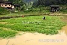 貴州榕江特大洪水親歷記：共渡難關(guān)，重建家園??