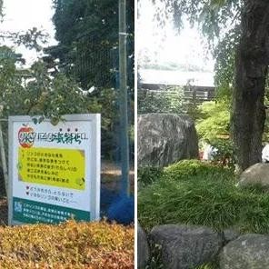 你會(huì)刻意讓孩子玩土嗎？親子自然教育的實(shí)用指南