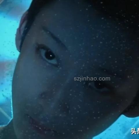 唯物主義修仙：物理化學(xué)法則的融合之道