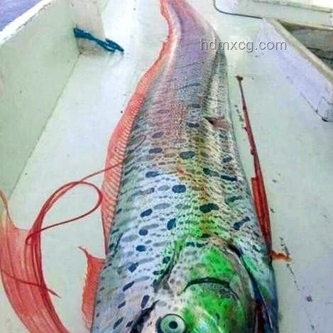 日本7月5日大災難預言與島嶼地震頻發(fā)案例研究