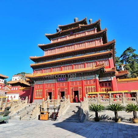 中國現(xiàn)存宏偉古建筑探秘，歷史與藝術(shù)并重