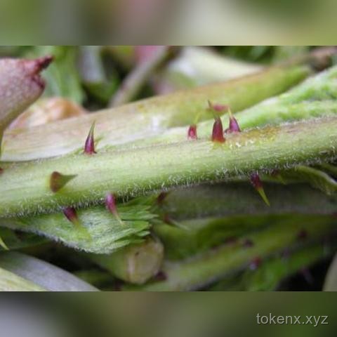如何與孩子“站在一起”，緩解抑郁癥少年的痛苦