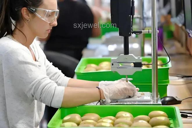 荔枝60一斤銷往迪拜土豪：實(shí)戰(zhàn)指南