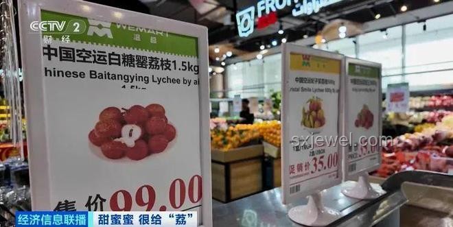 荔枝60一斤銷往迪拜土豪：實(shí)戰(zhàn)指南